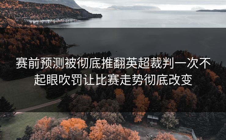 赛前预测被彻底推翻英超裁判一次不起眼吹罚让比赛走势彻底改变